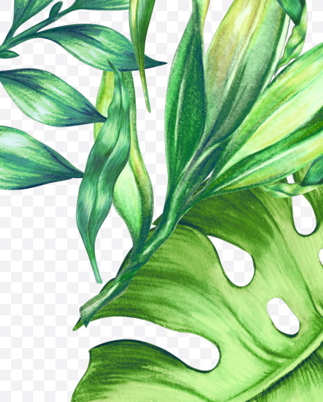 5 from Jungle Font on Yellow Images Creative Fonts - S43030