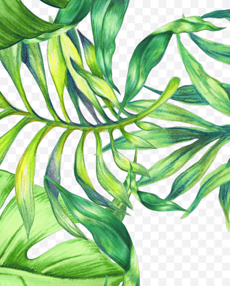 Letter F from Jungle Font on Yellow Images Creative Fonts - S43005