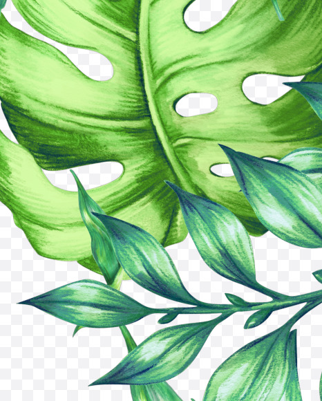 Letter V from Jungle Font on Yellow Images Creative Fonts - S43021