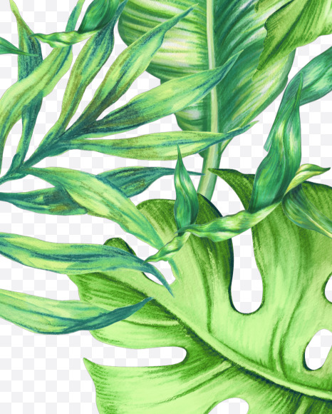 8 from Jungle Font on Yellow Images Creative Fonts - S43033