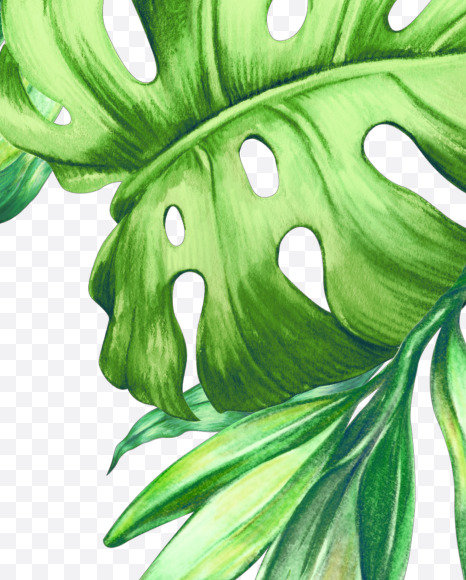 symbols from Jungle Font on Yellow Images Creative Fonts - S43044