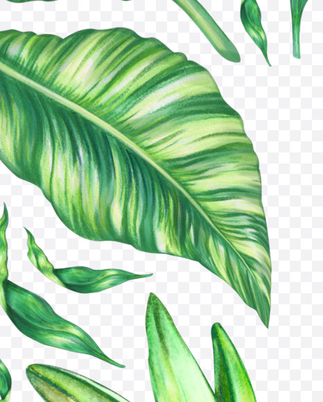 Letter Y from Tropical Font on Yellow Images Creative Fonts - S43072