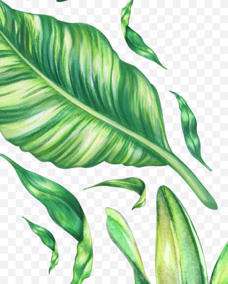 Letter M from Tropical Font on Yellow Images Creative Fonts - S43060