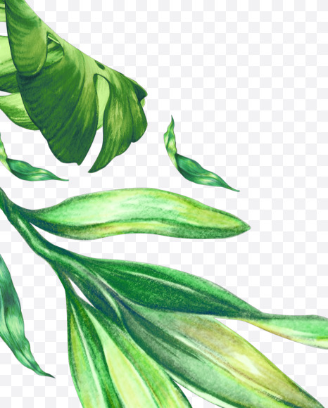 Letter N from Tropical Font on Yellow Images Creative Fonts - S43061