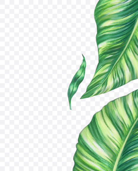 0 from Tropical Font on Yellow Images Creative Fonts - S43083