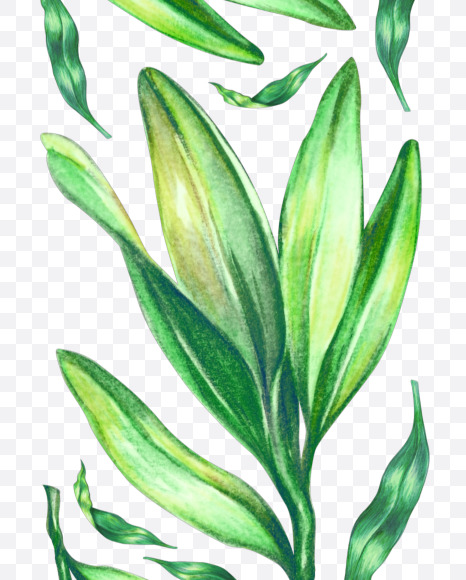 1 from Tropical Font on Yellow Images Creative Fonts - S43074