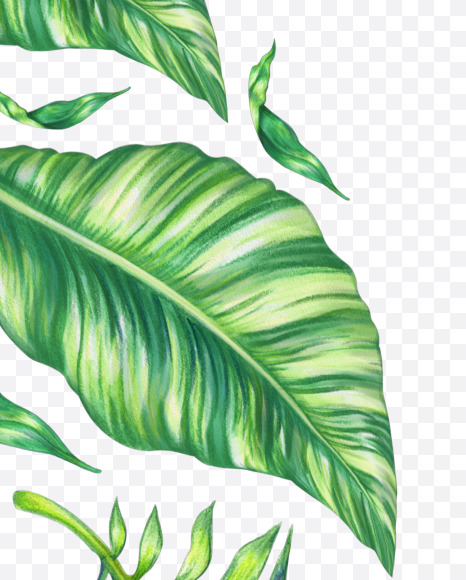 Letter O from Tropical Font on Yellow Images Creative Fonts - S43062