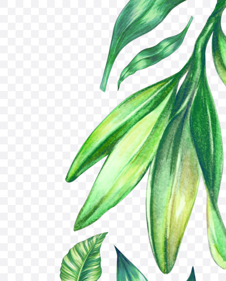 Letter G from Tropical Font on Yellow Images Creative Fonts - S43054