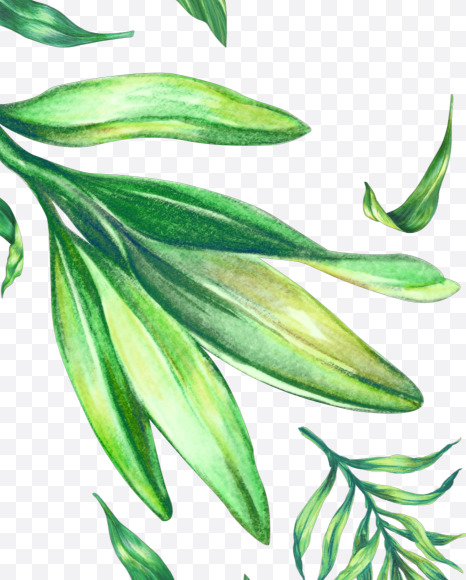 Letter W from Tropical Font on Yellow Images Creative Fonts - S43070