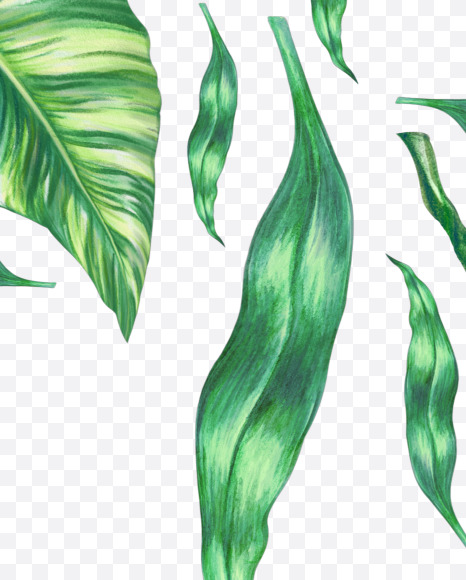 $ from Tropical Font on Yellow Images Creative Fonts - S43086