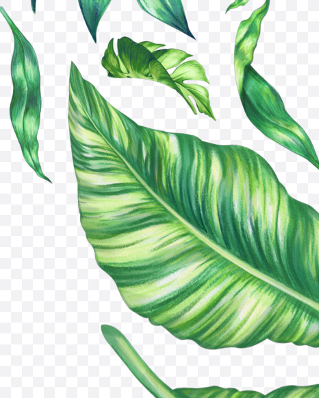 Letter V from Tropical Font on Yellow Images Creative Fonts - S43069