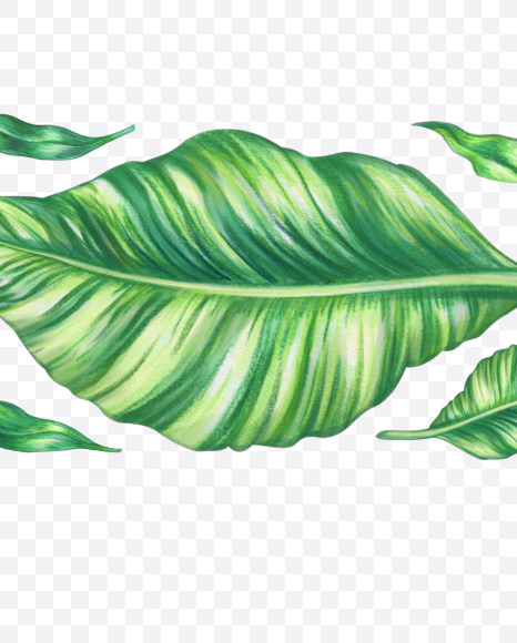 2 from Tropical Font on Yellow Images Creative Fonts - S43075