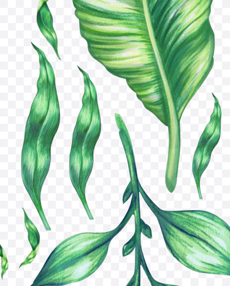 pound from Tropical Font on Yellow Images Creative Fonts - S43088