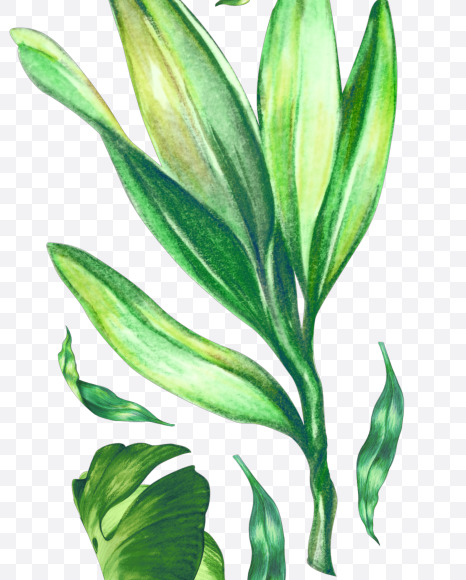 5 from Tropical Font on Yellow Images Creative Fonts - S43078