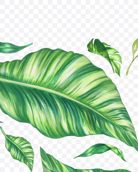 Letter X from Tropical Font on Yellow Images Creative Fonts - S43071