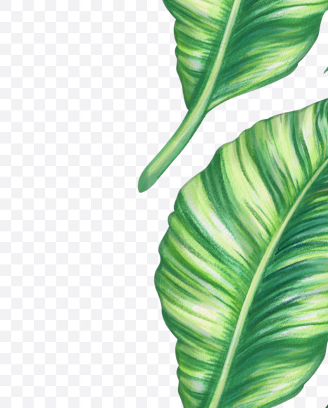 Letter J from Tropical Font on Yellow Images Creative Fonts - S43057