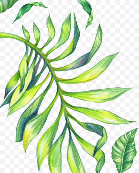 Letter S from Tropical Font on Yellow Images Creative Fonts - S43066