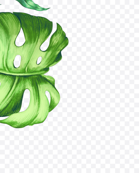 ! from Tropical Font on Yellow Images Creative Fonts - S43084