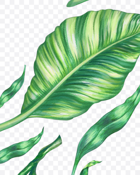 Letter Z from Tropical Font on Yellow Images Creative Fonts - S43073