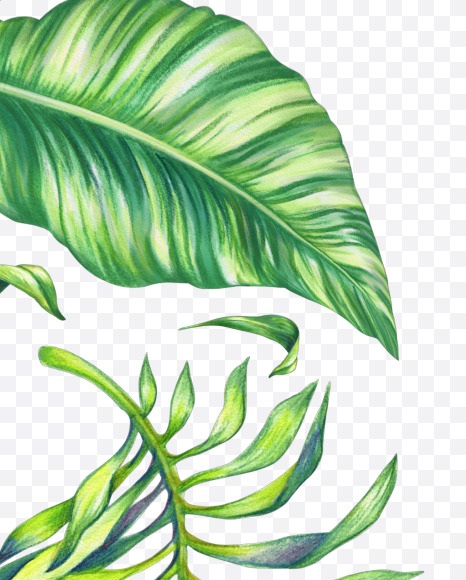 Letter D from Tropical Font on Yellow Images Creative Fonts - S43051