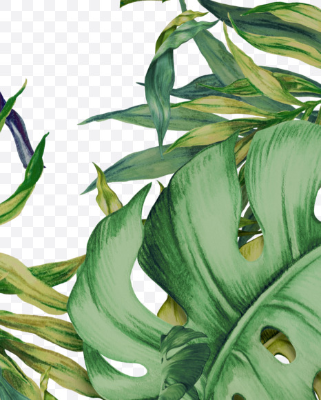 Letter N from Wild Jungle Font on Yellow Images Creative Fonts - S43106