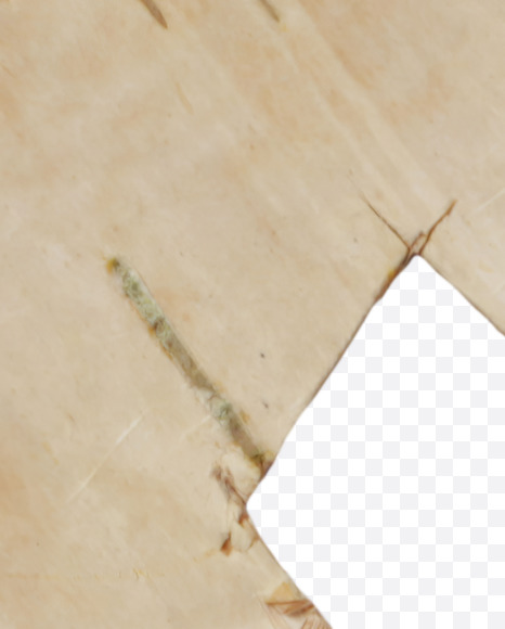 & from Birch bark Font on Yellow Images Creative Fonts - S43897
