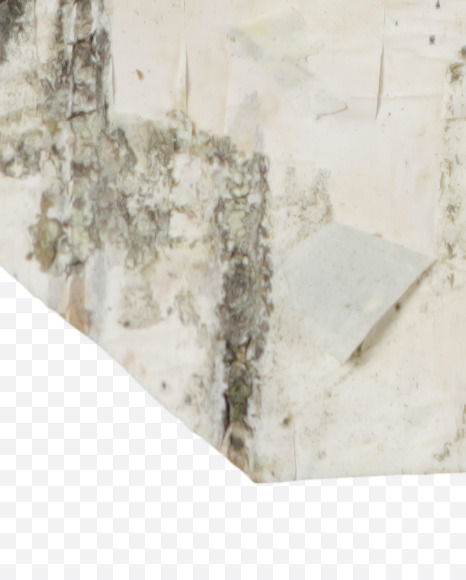Letter U from Birch bark Font on Yellow Images Creative Fonts - S43878