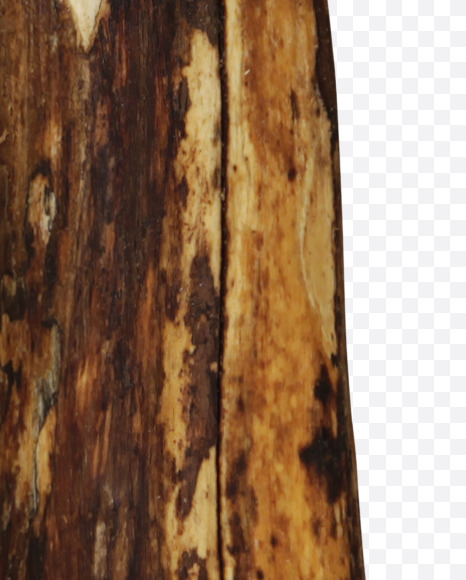 Letter N from Craft wood Font on Yellow Images Creative Fonts - S43960