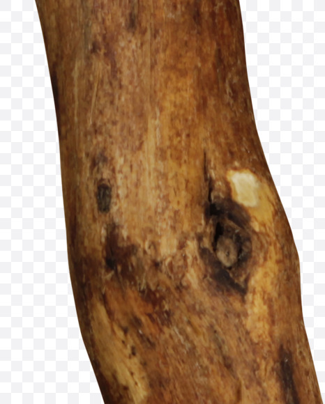 Letter D from Craft wood Font on Yellow Images Creative Fonts - S43950