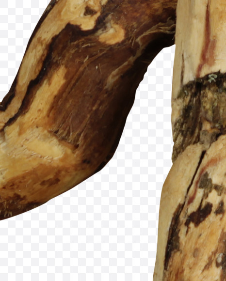 1 from Craft wood Font on Yellow Images Creative Fonts - S43973