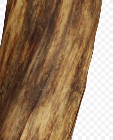 Letter O from Craft wood Font on Yellow Images Creative Fonts - S43961