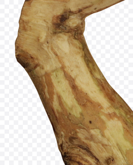 Letter S from Craft wood Font on Yellow Images Creative Fonts - S43965