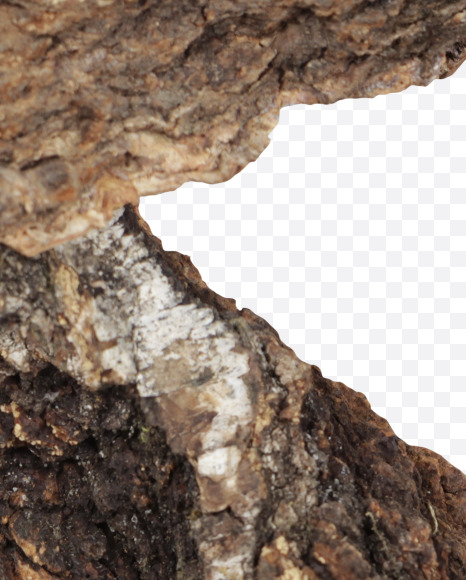 Letter r from Natural bark Font on Yellow Images Creative Fonts - S44178