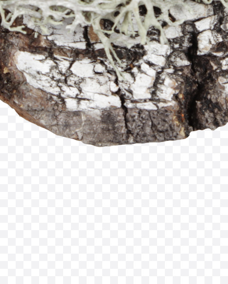 8 from Natural bark Font on Yellow Images Creative Fonts - S44194