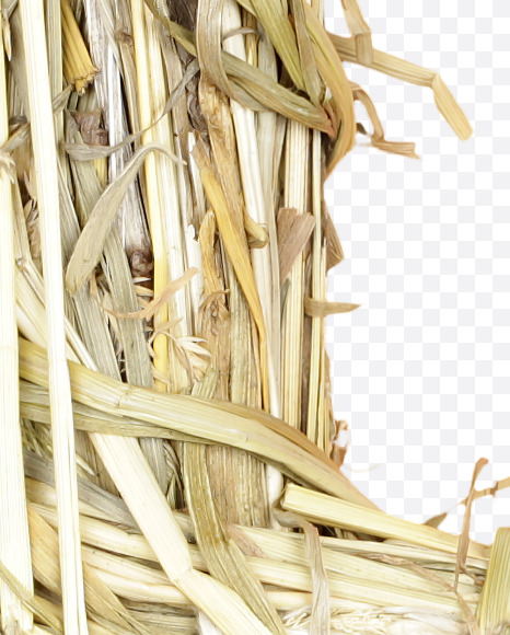 Letter H from Hay alphabet on Yellow Images Creative Fonts - S45621