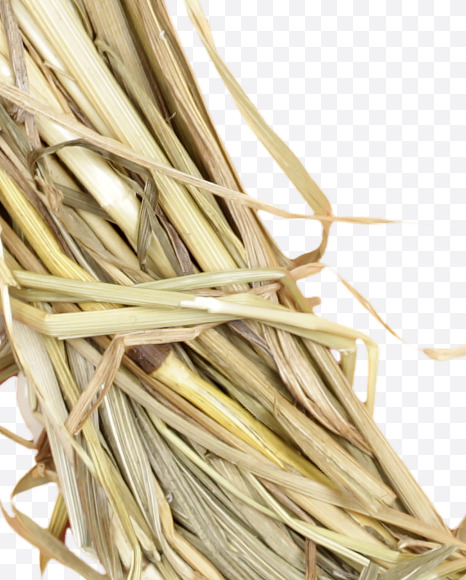 Letter O from Hay alphabet on Yellow Images Creative Fonts - S45628