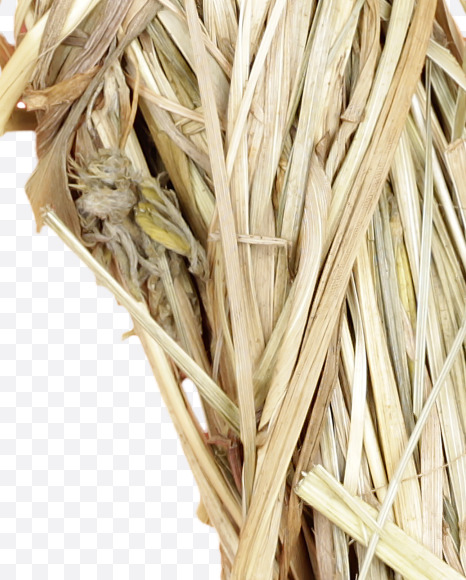 Letter N from Hay alphabet on Yellow Images Creative Fonts - S45627