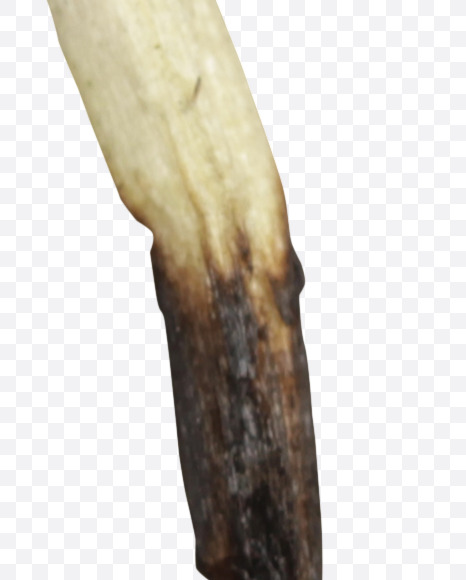 3 from Matches Font on Yellow Images Creative Fonts - S46628