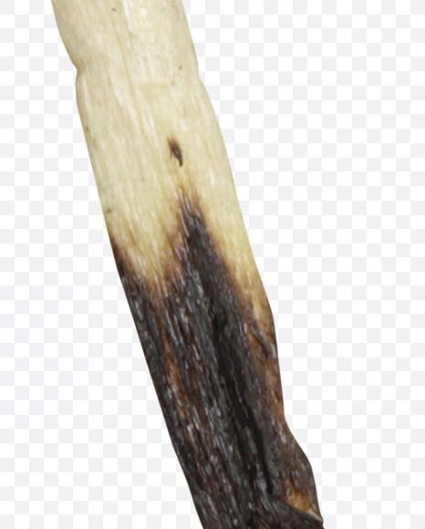 Letter C from Matches Font on Yellow Images Creative Fonts - S46602