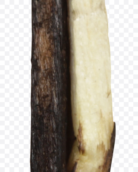 Letter J from Matches Font on Yellow Images Creative Fonts - S46609