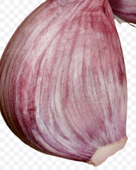 ? from Garlic alphabet on Yellow Images Creative Fonts - S46999