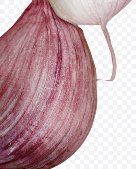 7 from Garlic alphabet on Yellow Images Creative Fonts - S46994