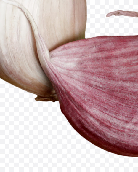 6 from Garlic alphabet on Yellow Images Creative Fonts - S46993