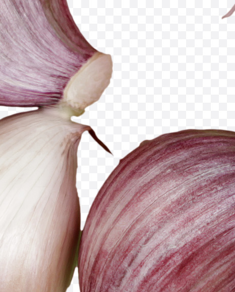 5 from Garlic alphabet on Yellow Images Creative Fonts - S46992