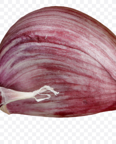 @ from Garlic alphabet on Yellow Images Creative Fonts - S47000