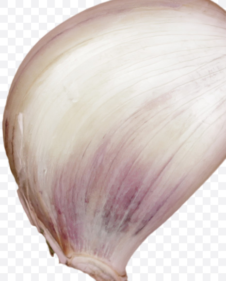% from Garlic alphabet on Yellow Images Creative Fonts - S47004