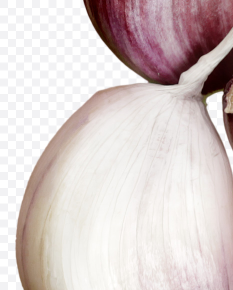Letter A from Garlic alphabet on Yellow Images Creative Fonts - S46962