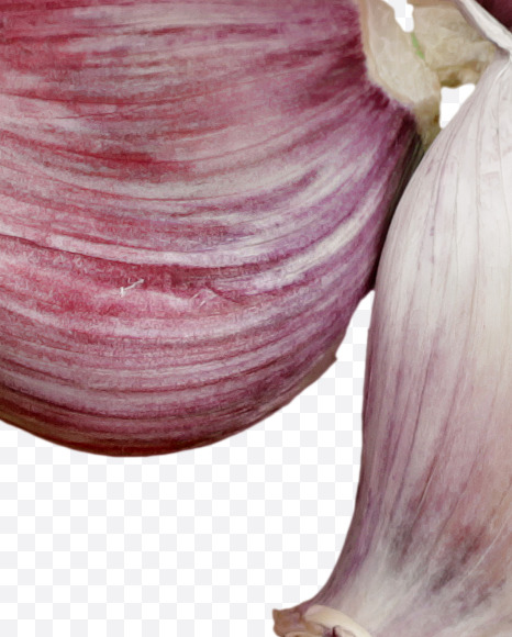 9 from Garlic alphabet on Yellow Images Creative Fonts - S46996