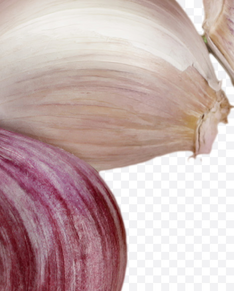 Letter F from Garlic alphabet on Yellow Images Creative Fonts - S46967