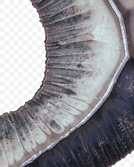 Letter R from Metal terrain Alphabet on Yellow Images Creative Fonts - S48647